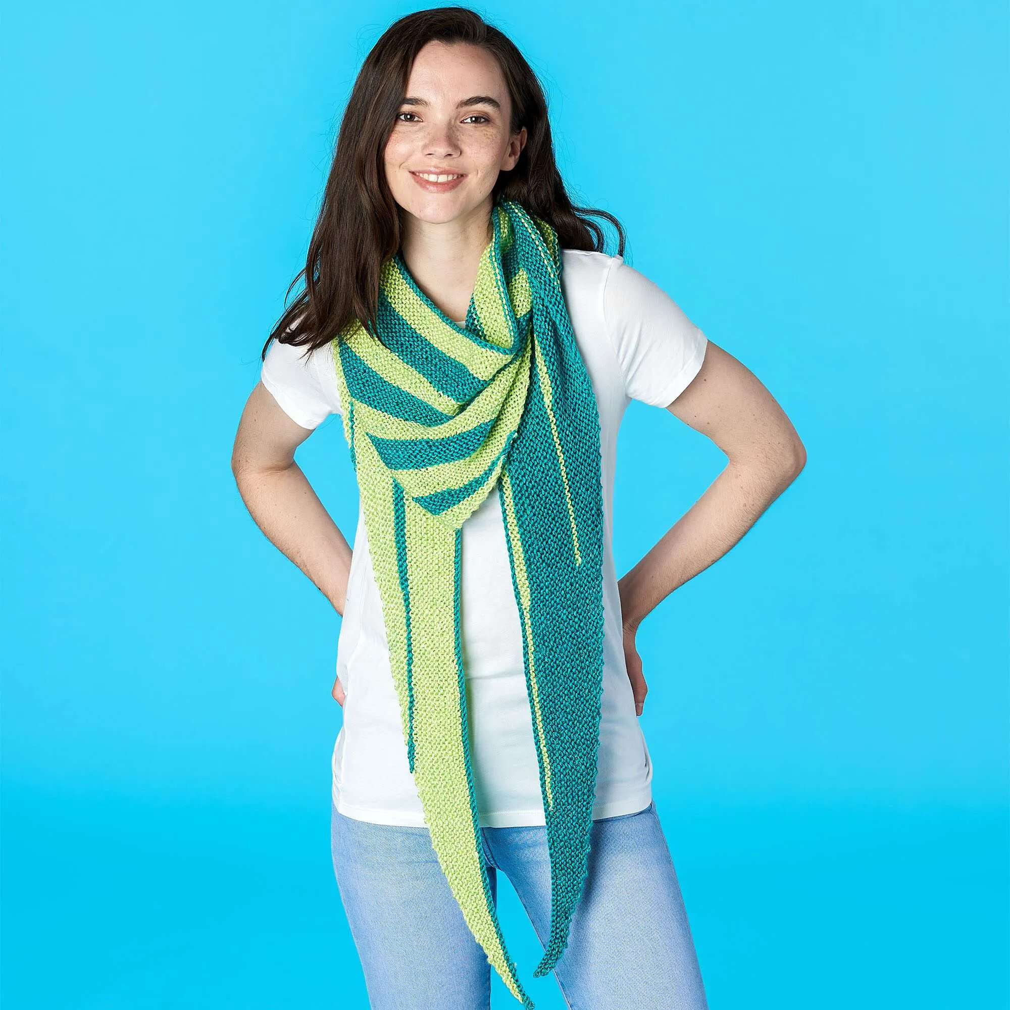 Caron La Pelosa Knit Shawl